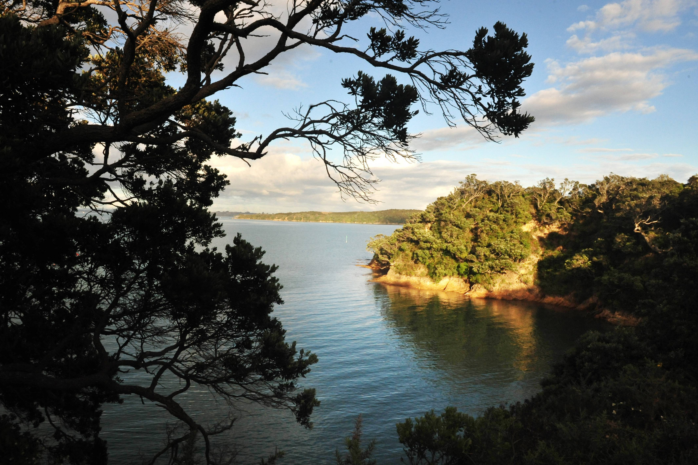 waiheke island_02.webp